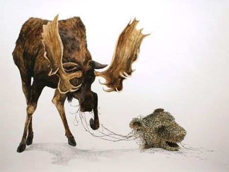 frankie magazine Pictures, Images and Photos