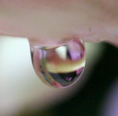 IMAGE: http://i102.photobucket.com/albums/m101/iChop/Droplet_50mm.jpg