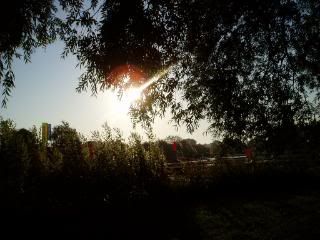 P1010131.jpg