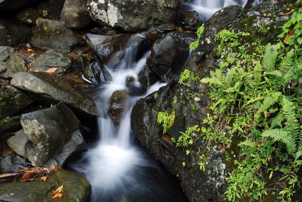 El Yunque