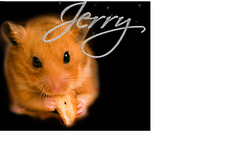 Jerrymannencopy.jpg