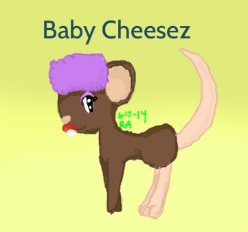 http://i102.photobucket.com/albums/m108/CandyRush1/BabyCheesezmouse_zps32397908.jpg?t=1403491888