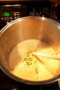 Homebrew Malt Extract