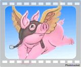 Flying Pig Pics