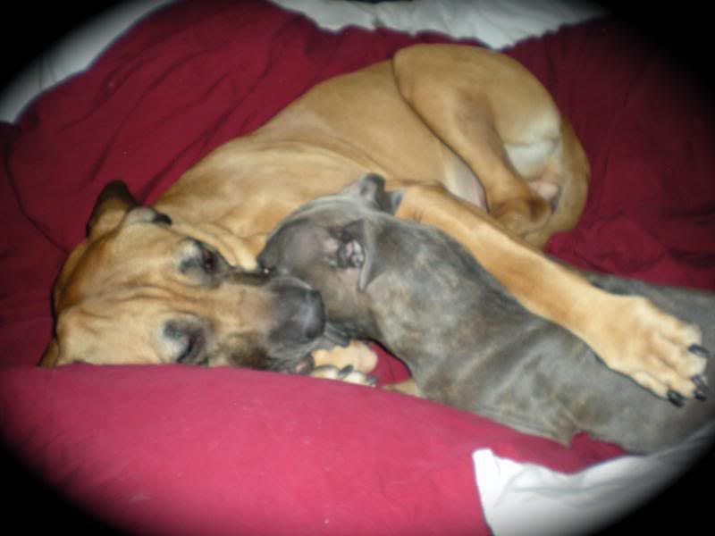 DSCN0264.jpg