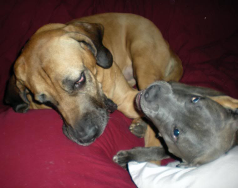 DSCN0271.jpg