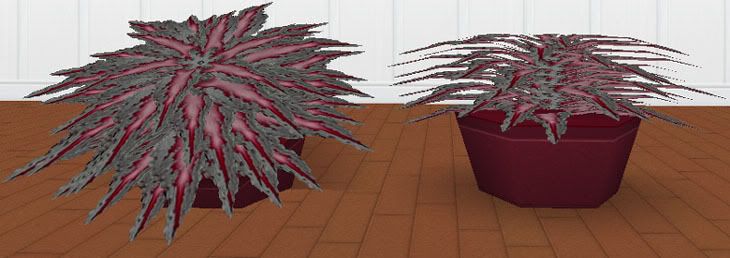 Gothic Blood Red Potted Plant