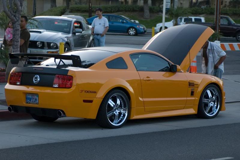 DSC_3985.jpg