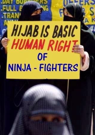 Ninja in Action