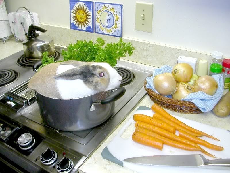 Picture55.jpg