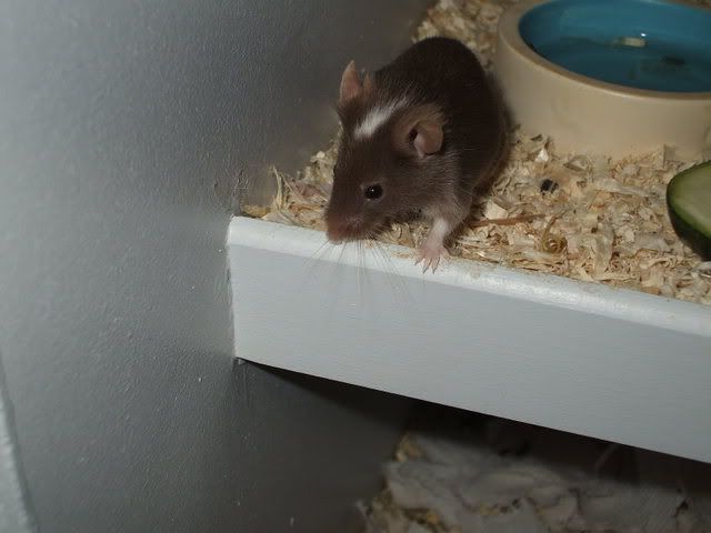 neueEtage005.jpg