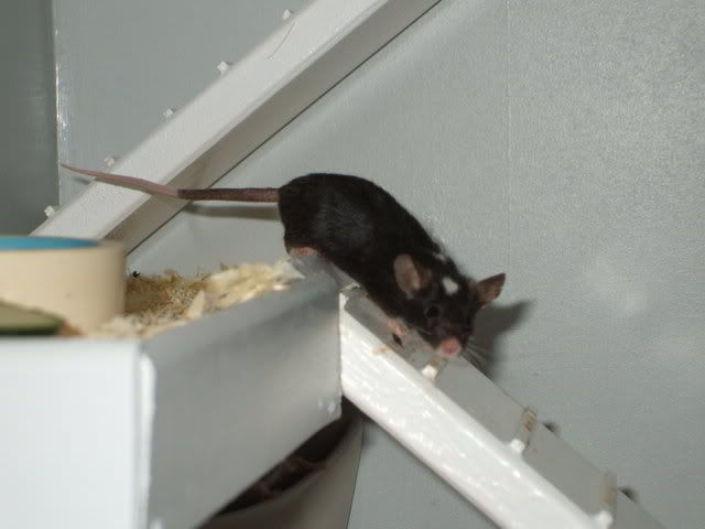 neueEtage028.jpg