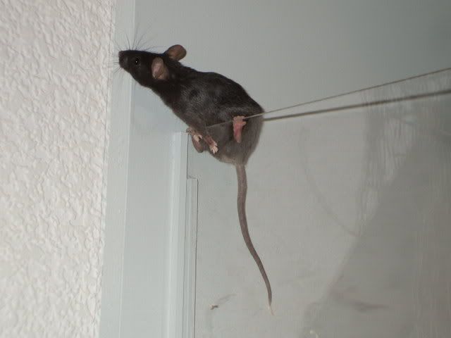 neueEtage034.jpg