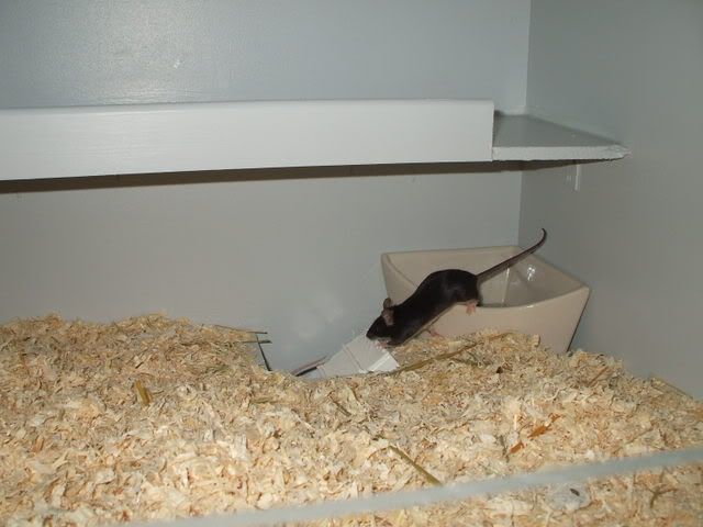 neueEtage041.jpg