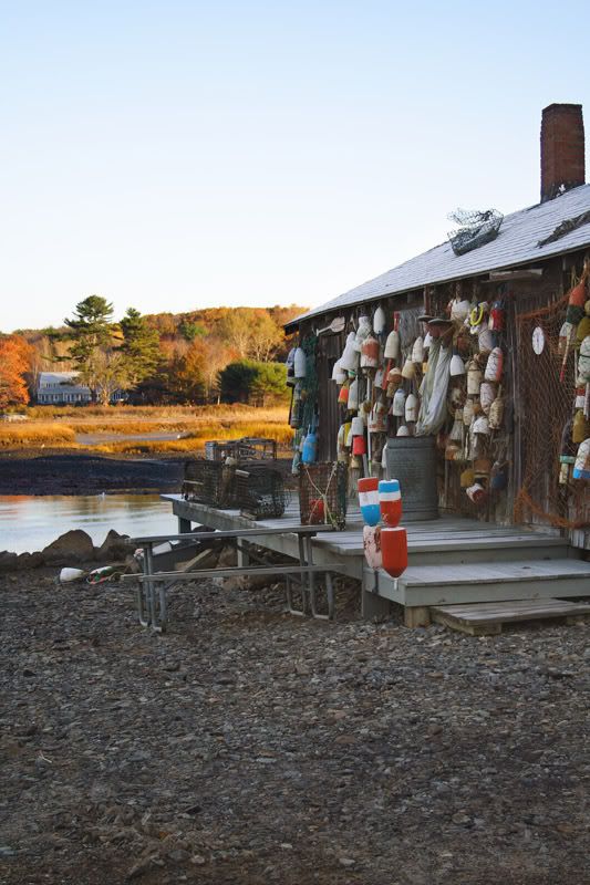 IMAGE: http://i102.photobucket.com/albums/m114/BeccaNH/Fall%202006/IMG_0030_1_edited-2.jpg