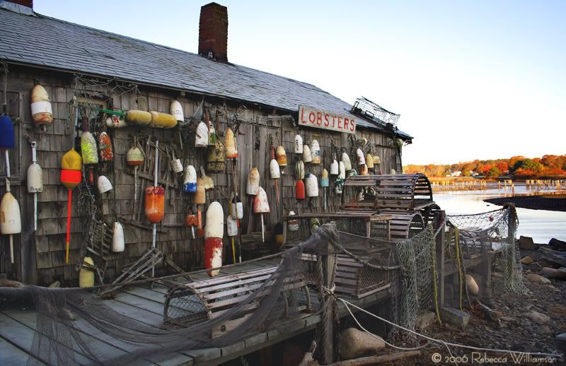 IMAGE: http://i102.photobucket.com/albums/m114/BeccaNH/Fall%202006/IMG_0035_1_edited-2.jpg