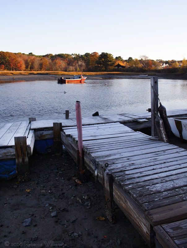 IMAGE: http://i102.photobucket.com/albums/m114/BeccaNH/Fall%202006/IMG_0036_edited-1.jpg