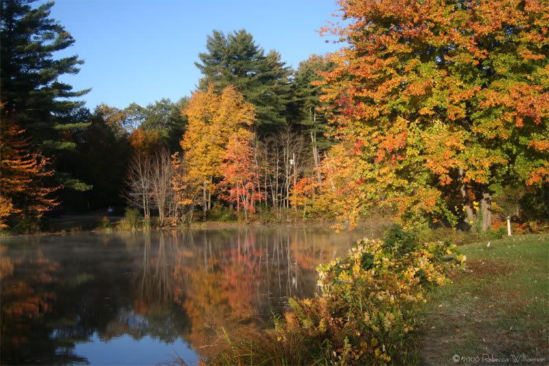 IMAGE: http://i102.photobucket.com/albums/m114/BeccaNH/Fall%202006/IMG_9590_edited-1.jpg