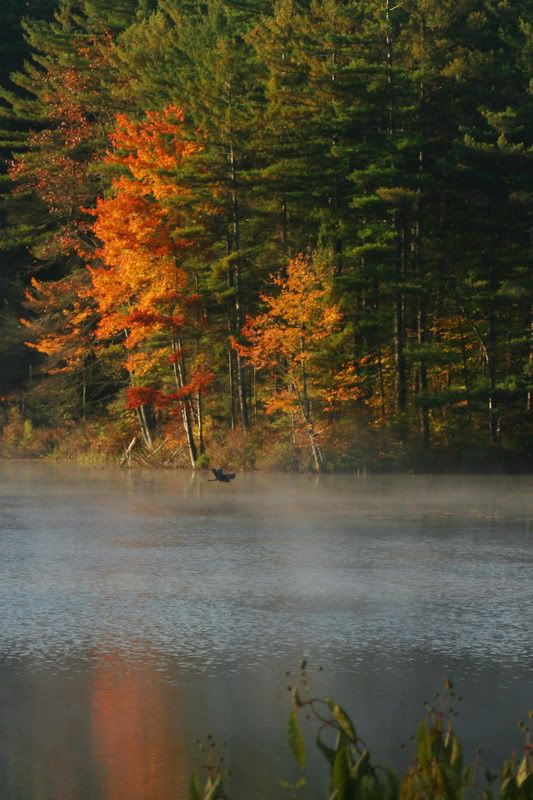 IMAGE: http://i102.photobucket.com/albums/m114/BeccaNH/Fall%202006/IMG_9594_edited-1.jpg