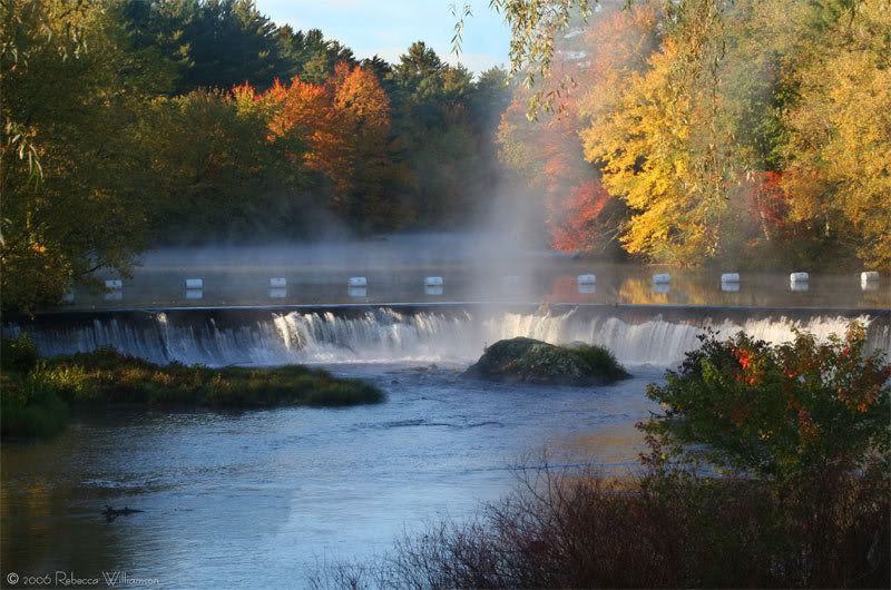 IMAGE: http://i102.photobucket.com/albums/m114/BeccaNH/Fall%202006/IMG_9606_edited-1.jpg