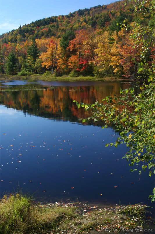 IMAGE: http://i102.photobucket.com/albums/m114/BeccaNH/Fall%202006/IMG_9711_edited-1.jpg