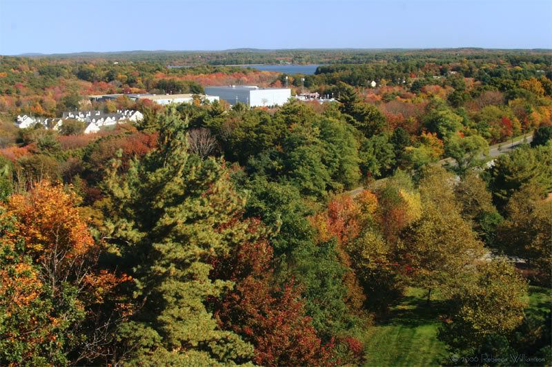 IMAGE: http://i102.photobucket.com/albums/m114/BeccaNH/Fall%202006/IMG_9778_edited-1.jpg