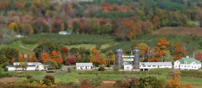 IMAGE: http://i102.photobucket.com/albums/m114/BeccaNH/Fall%202006/IMG_9780_edited-1_model.jpg