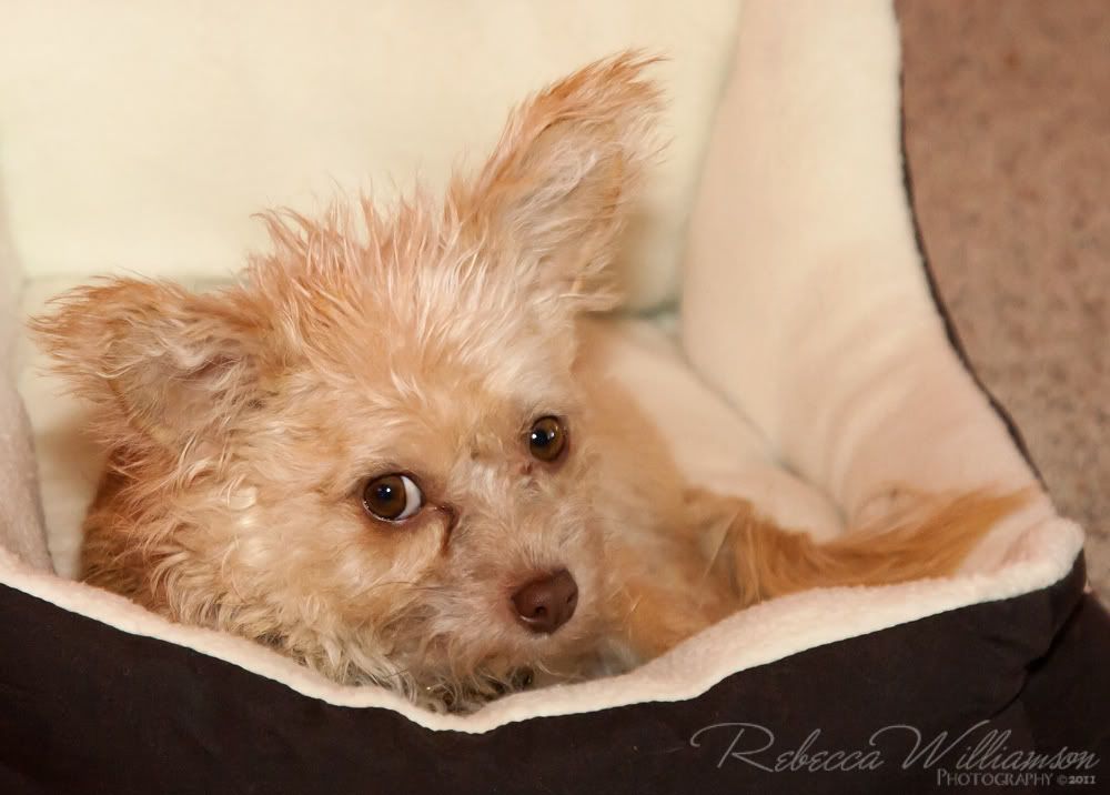 IMAGE: http://i102.photobucket.com/albums/m114/BeccaNH/IMG_0017_edited-1.jpg