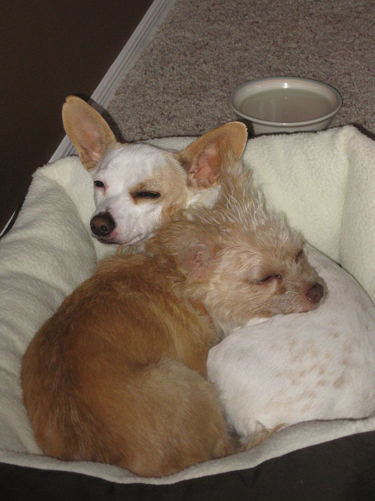 IMAGE: http://i102.photobucket.com/albums/m114/BeccaNH/IMG_1731_edited-1.jpg