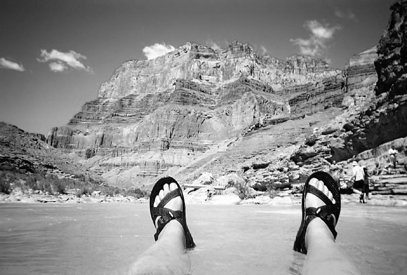 IMAGE: http://i102.photobucket.com/albums/m114/BeccaNH/POTN%20Challenges/287656-R1-044-20A_filtered_.jpg