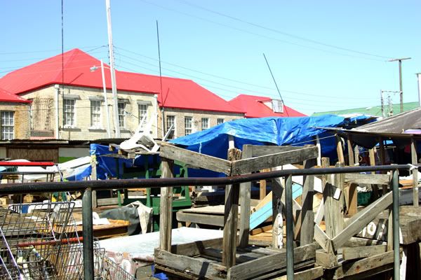 IMAGE: http://i102.photobucket.com/albums/m114/BeccaNH/POTN%20Challenges/IMG_5446_edited-1.jpg