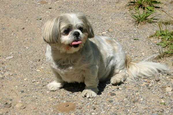 IMAGE: http://i102.photobucket.com/albums/m114/BeccaNH/POTN%20Challenges/IMG_6355_edited-3.jpg