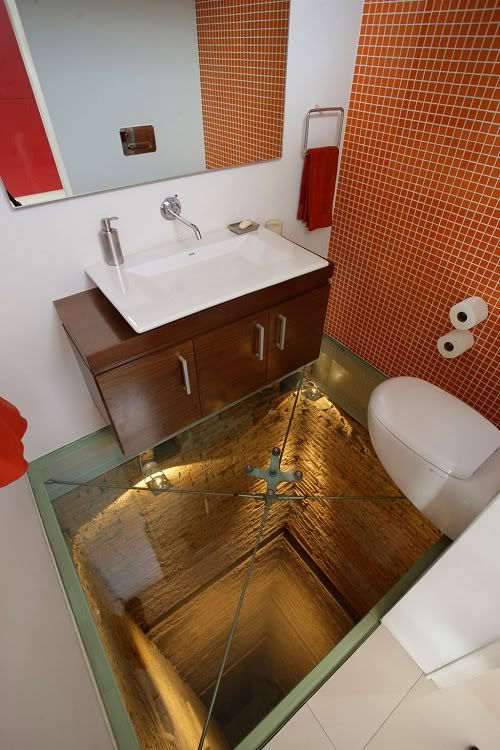 Петхаус с туалетом в шахте лифта 