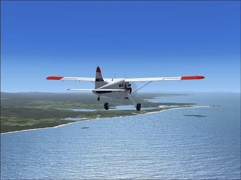 FTXBeaver05.jpg