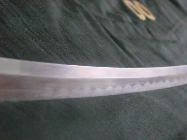 DSC00044.jpg