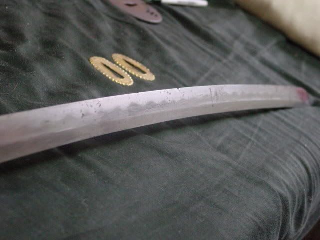 DSC00047.jpg