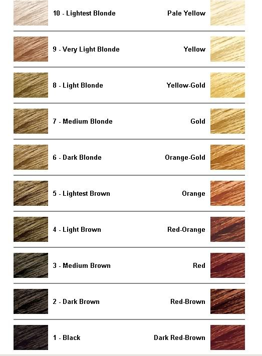 Hair Color Undertones. As hair is lightened with