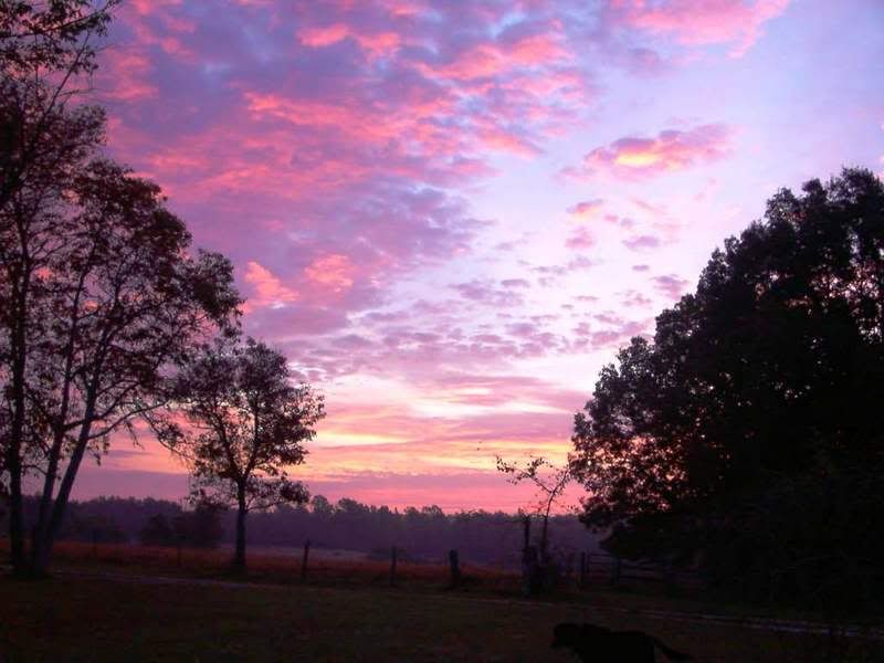 Information on West plains, MO area - Homesteading Questions