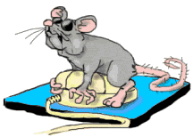 mouse hump