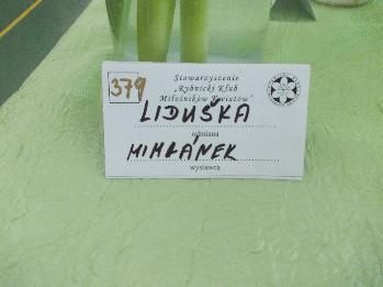 Obrazek