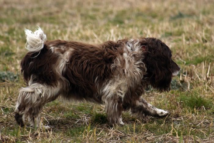 IMAGE: http://i102.photobucket.com/albums/m84/BrokenFlight/FernAction.jpg