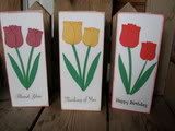 A New Beginning Spring Tulip Collection