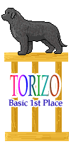 TorizoBasic1st.gif