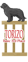 TorizoBasic3rd.gif