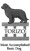 TorizoMostAccomplishedBasic.gif