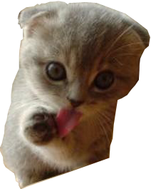kittyrender.png