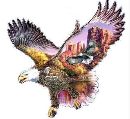AllieKatzGraphics.com!