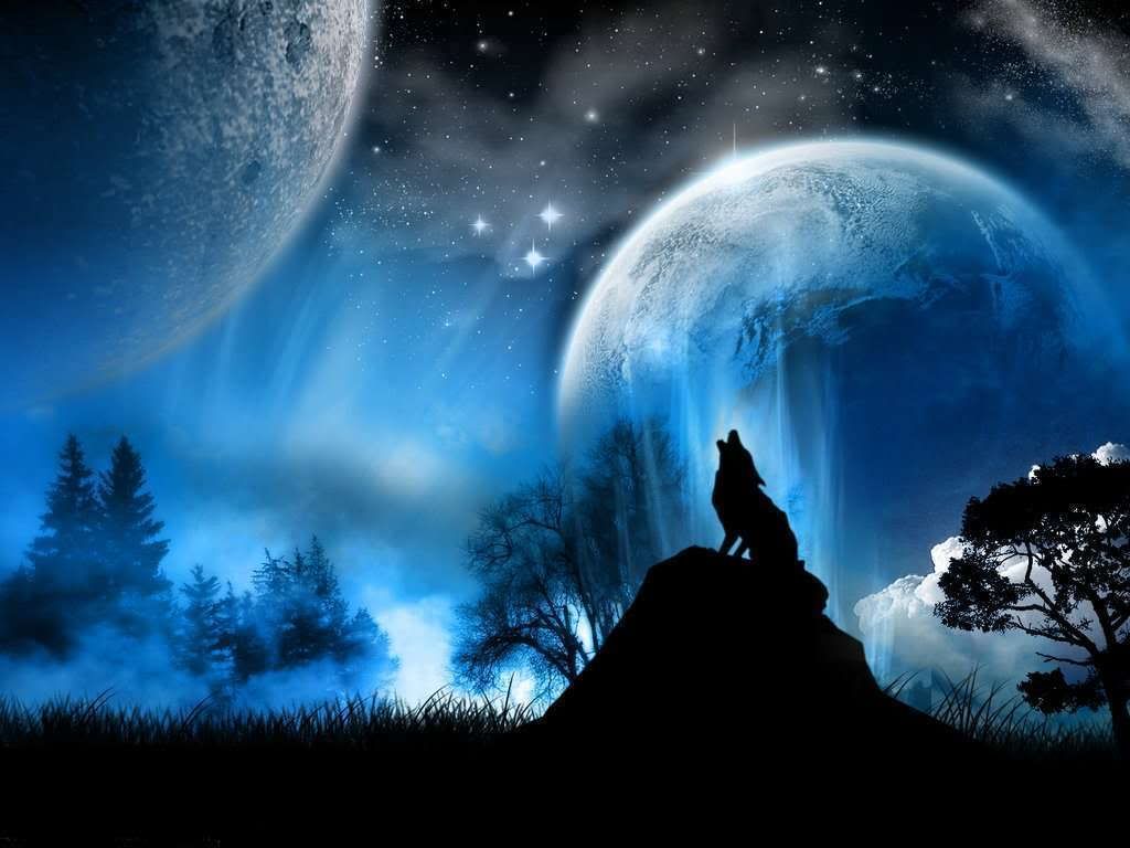 wolf.jpg Wolf image by divagurl18