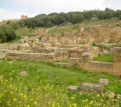 Ruins & yellow flowers