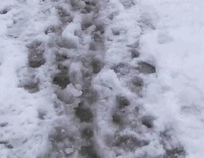 slush
